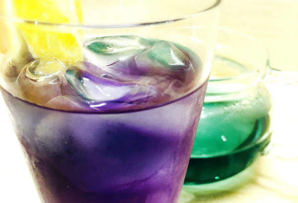 青の花茶は1日1杯